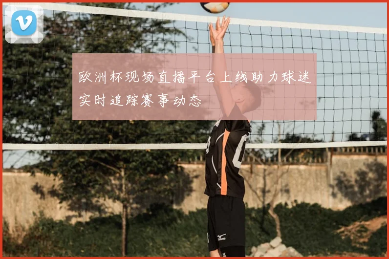 欧洲杯现场直播平台上线助力球迷实时追踪赛事动态