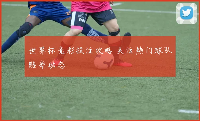 世界杯竞彩投注攻略 关注热门球队赔率动态