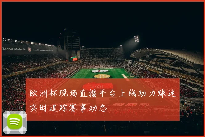 欧洲杯现场直播平台上线助力球迷实时追踪赛事动态