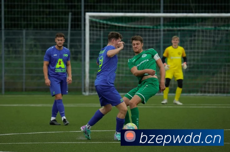 App Interface Preview